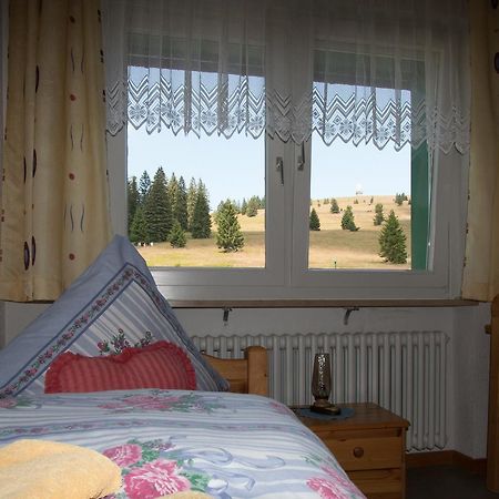 فيلدبرج Berggasthof-Pension Todtnauer Hutte المظهر الخارجي الصورة