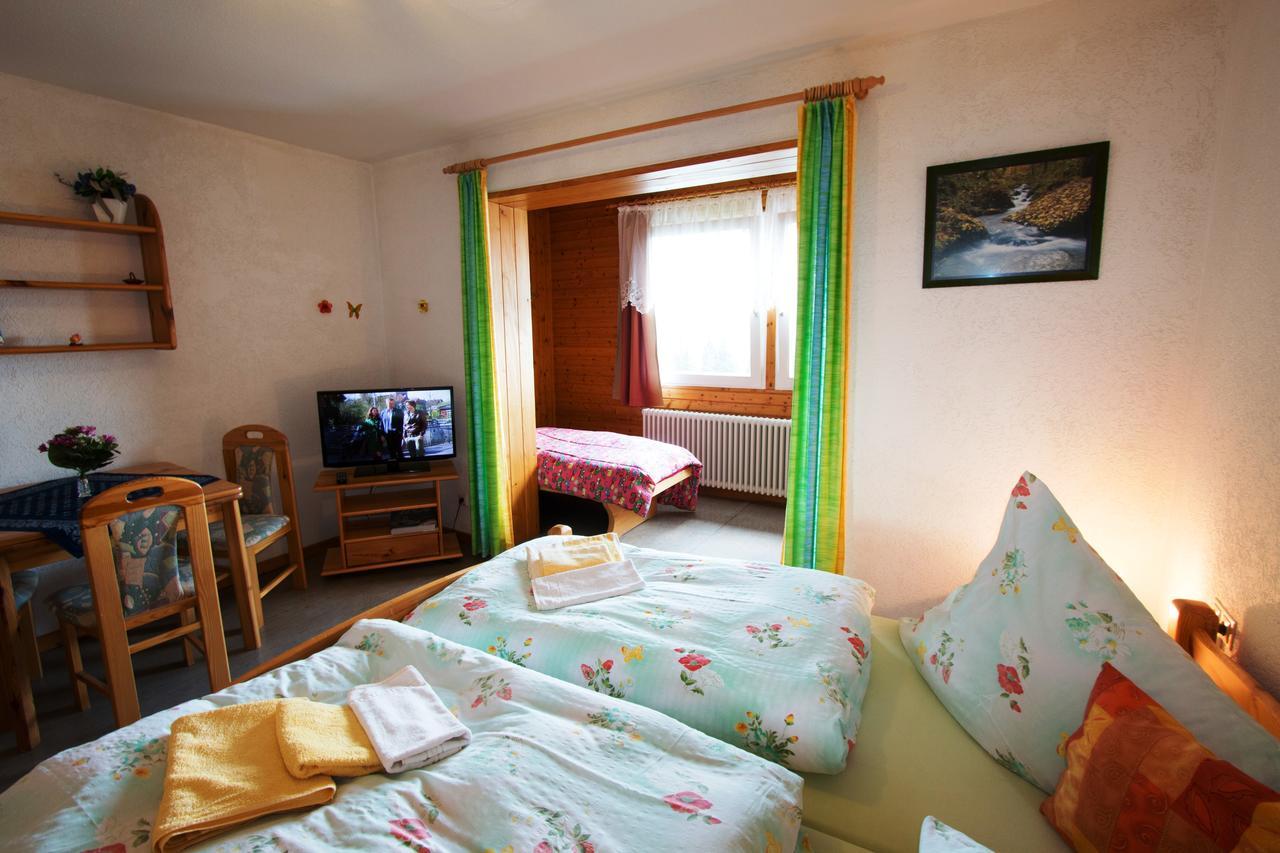 فيلدبرج Berggasthof-Pension Todtnauer Hutte الغرفة الصورة