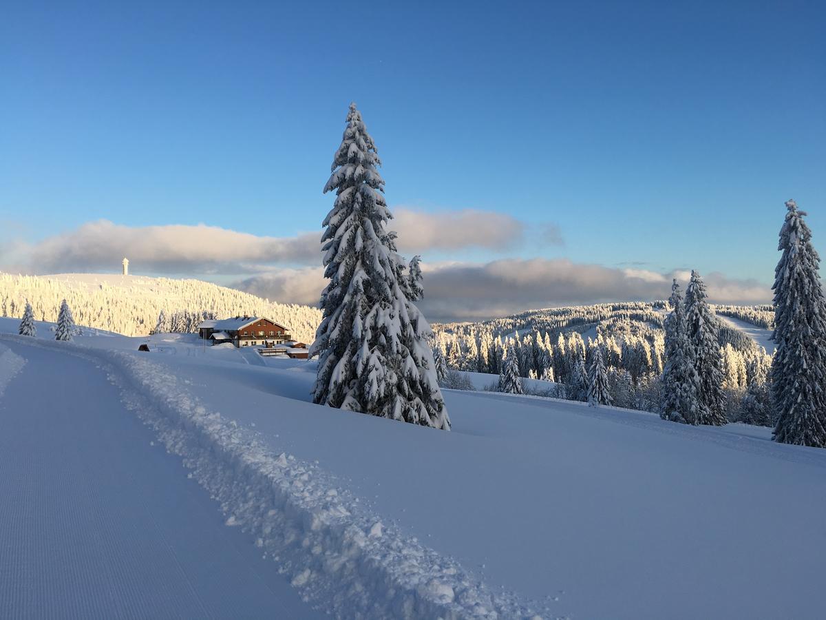 فيلدبرج Berggasthof-Pension Todtnauer Hutte المظهر الخارجي الصورة