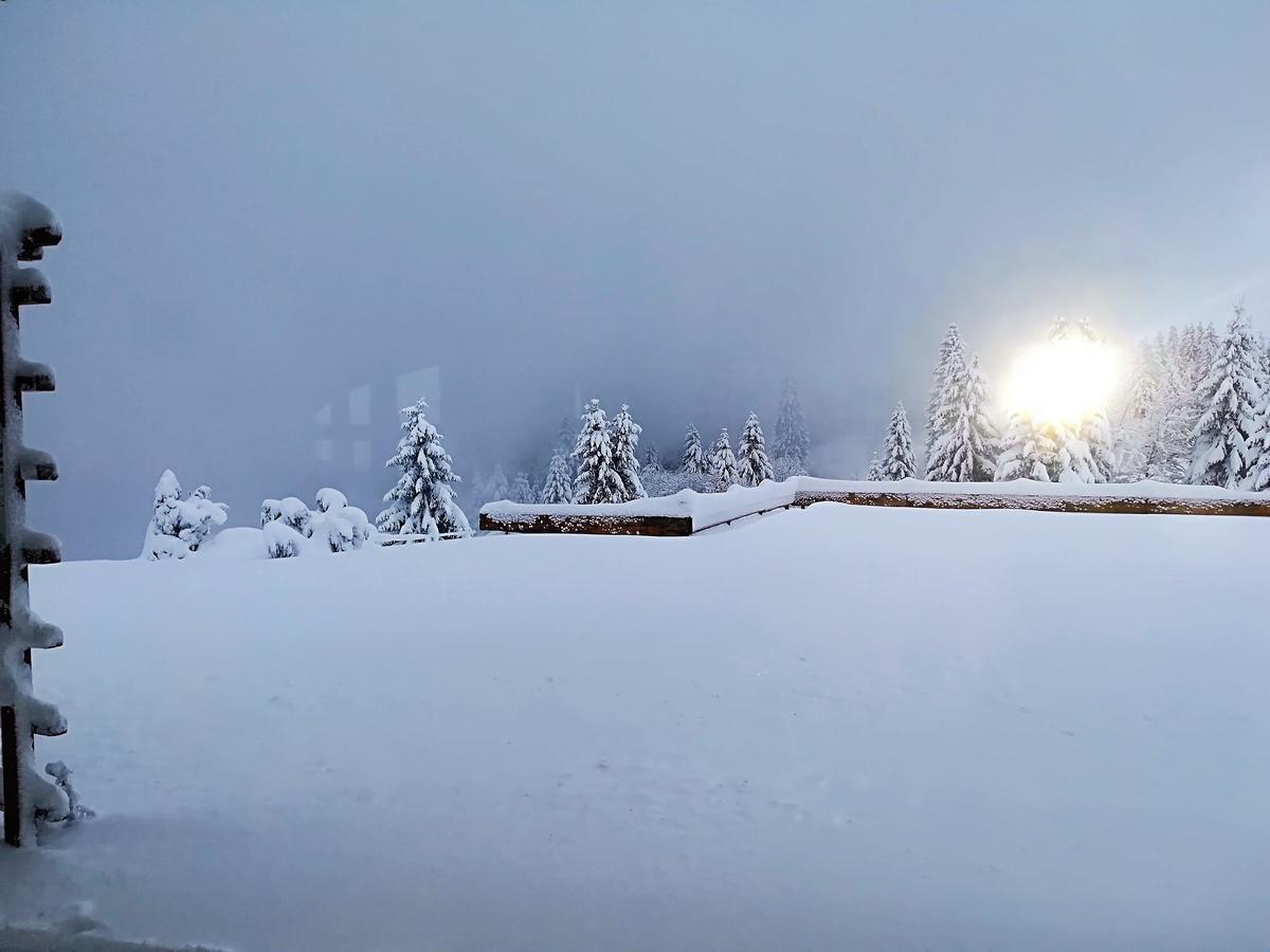 فيلدبرج Berggasthof-Pension Todtnauer Hutte المظهر الخارجي الصورة