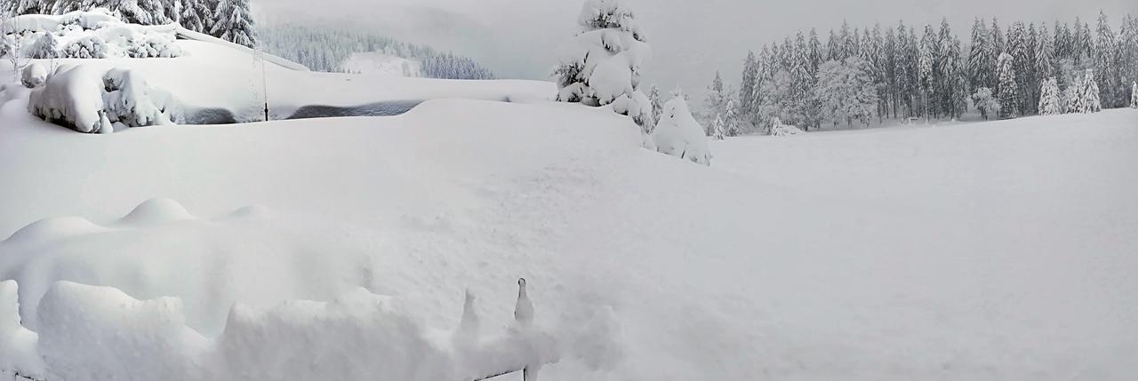 فيلدبرج Berggasthof-Pension Todtnauer Hutte المظهر الخارجي الصورة