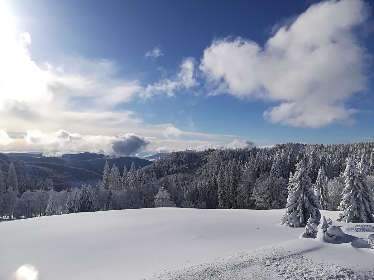 فيلدبرج Berggasthof-Pension Todtnauer Hutte المظهر الخارجي الصورة